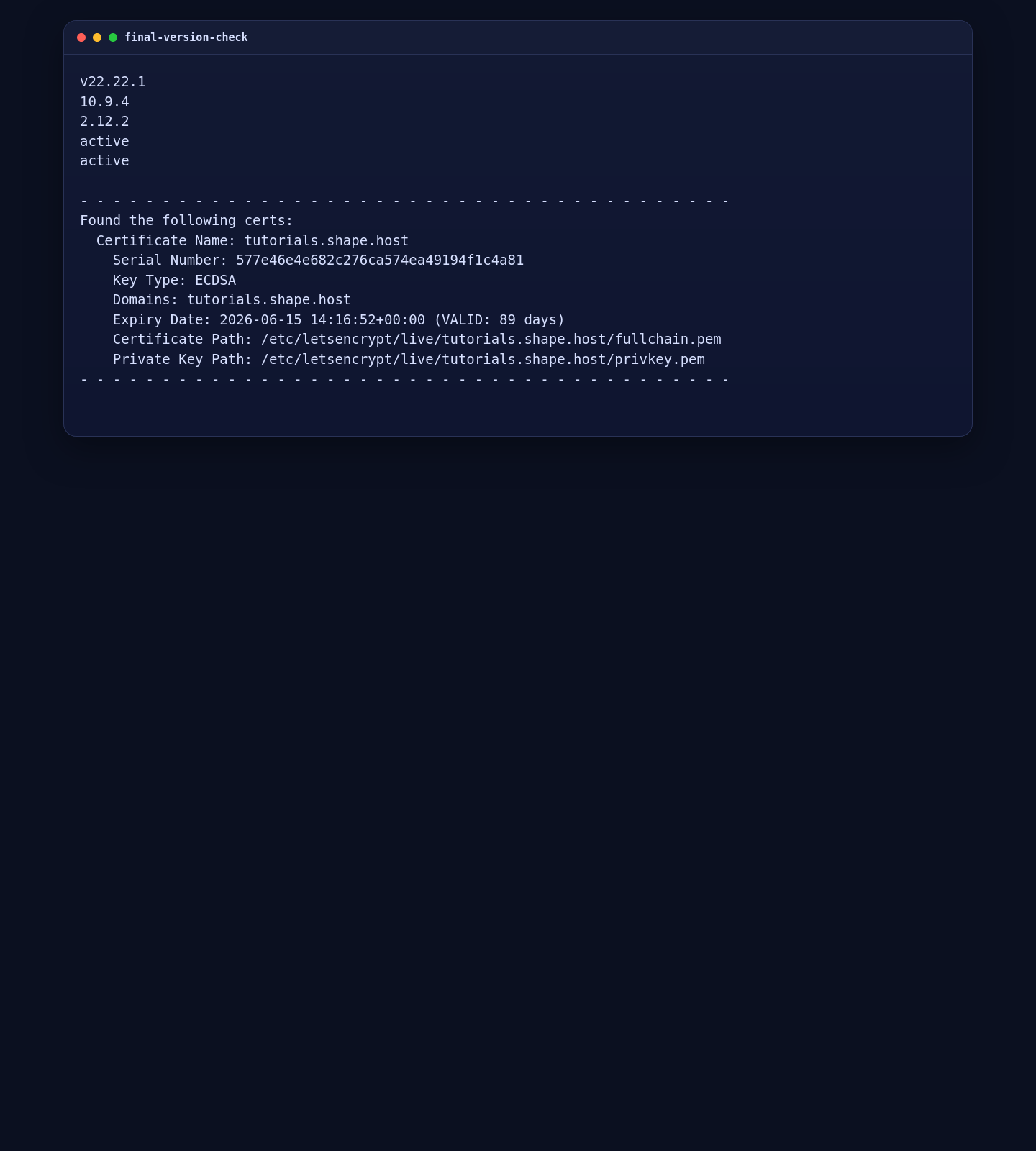 Version and certificate validation for n8n on Ubuntu 24.04