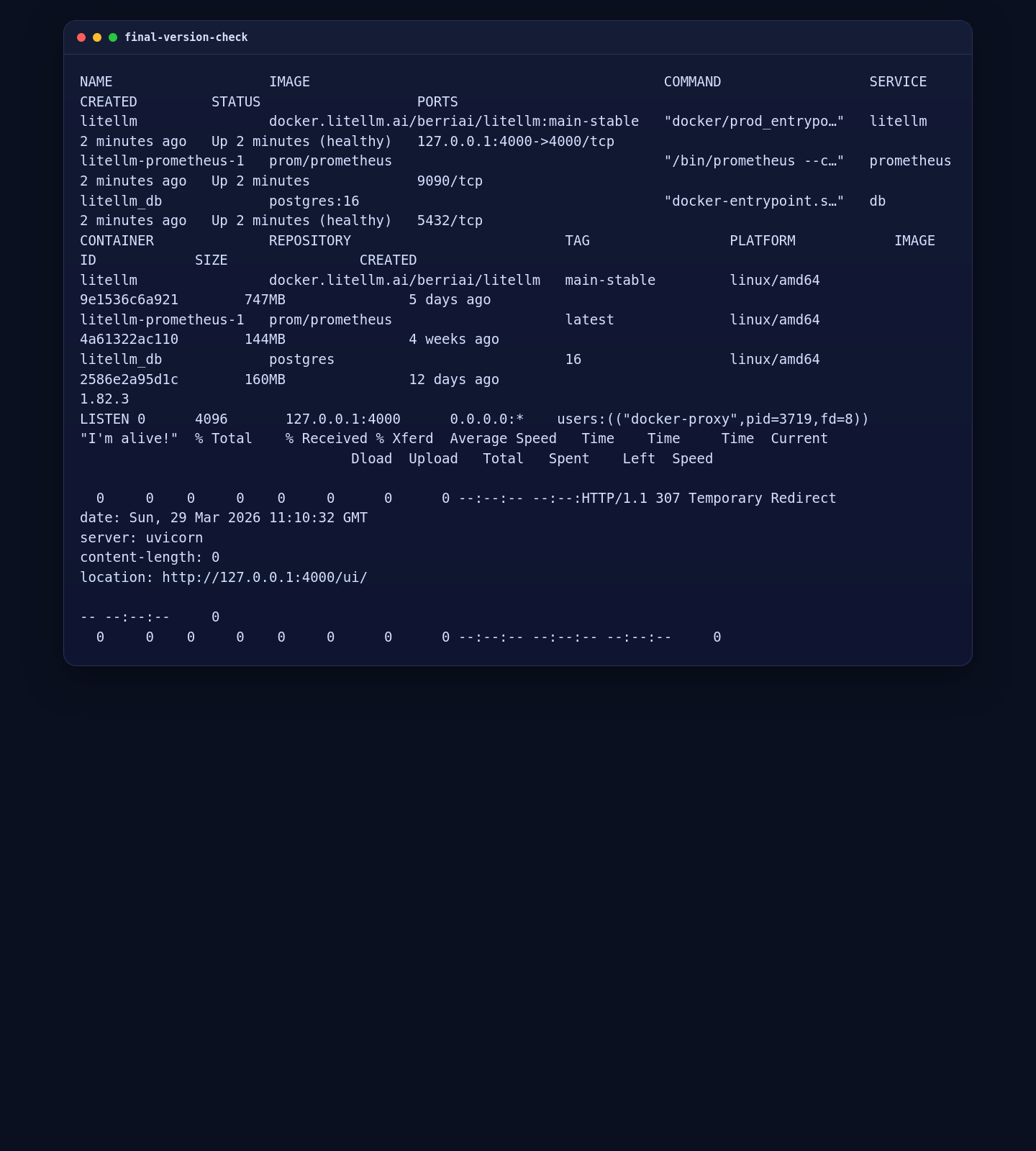Final LiteLLM validation on Ubuntu 24.04