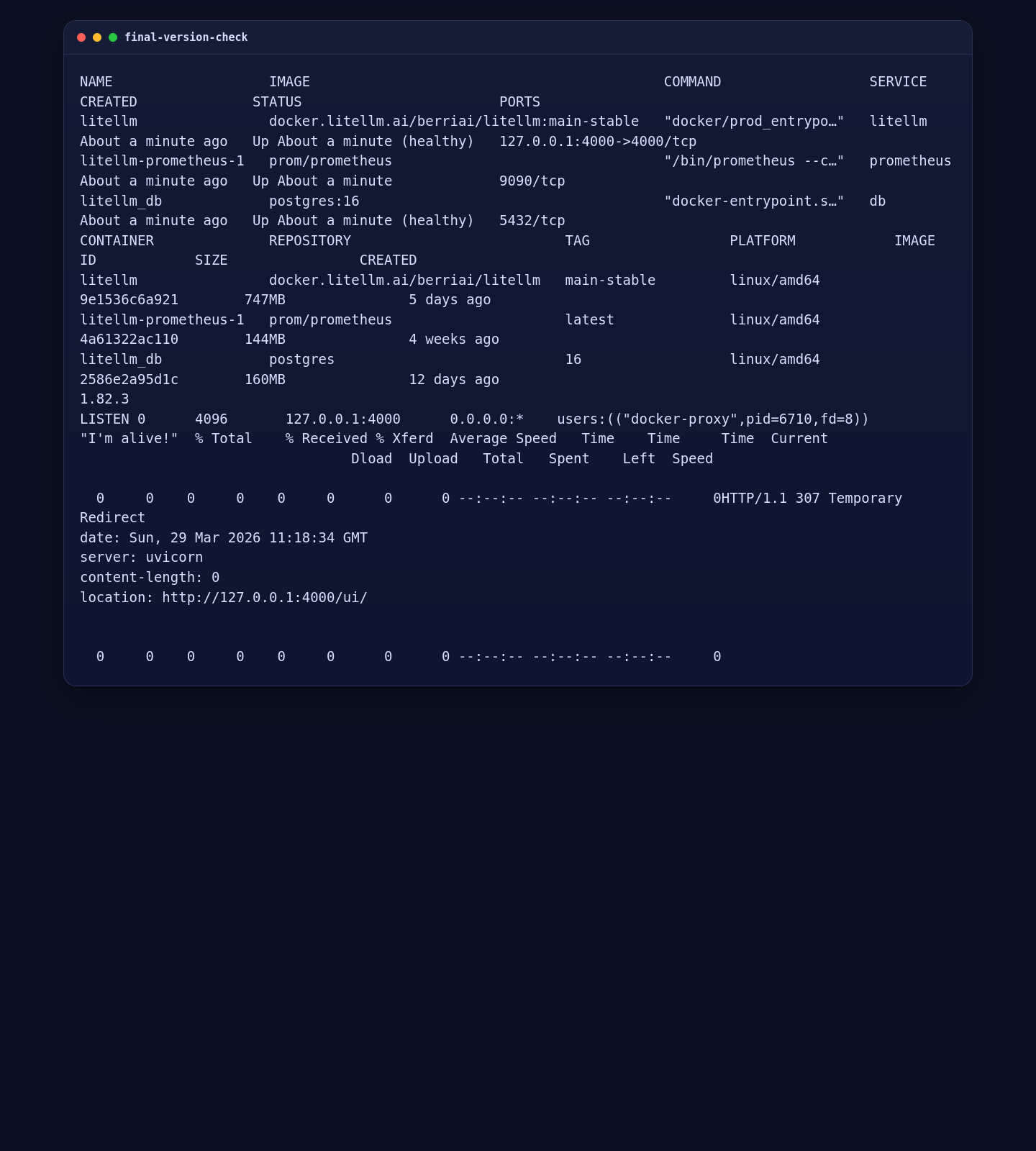 Final LiteLLM validation on AlmaLinux 10