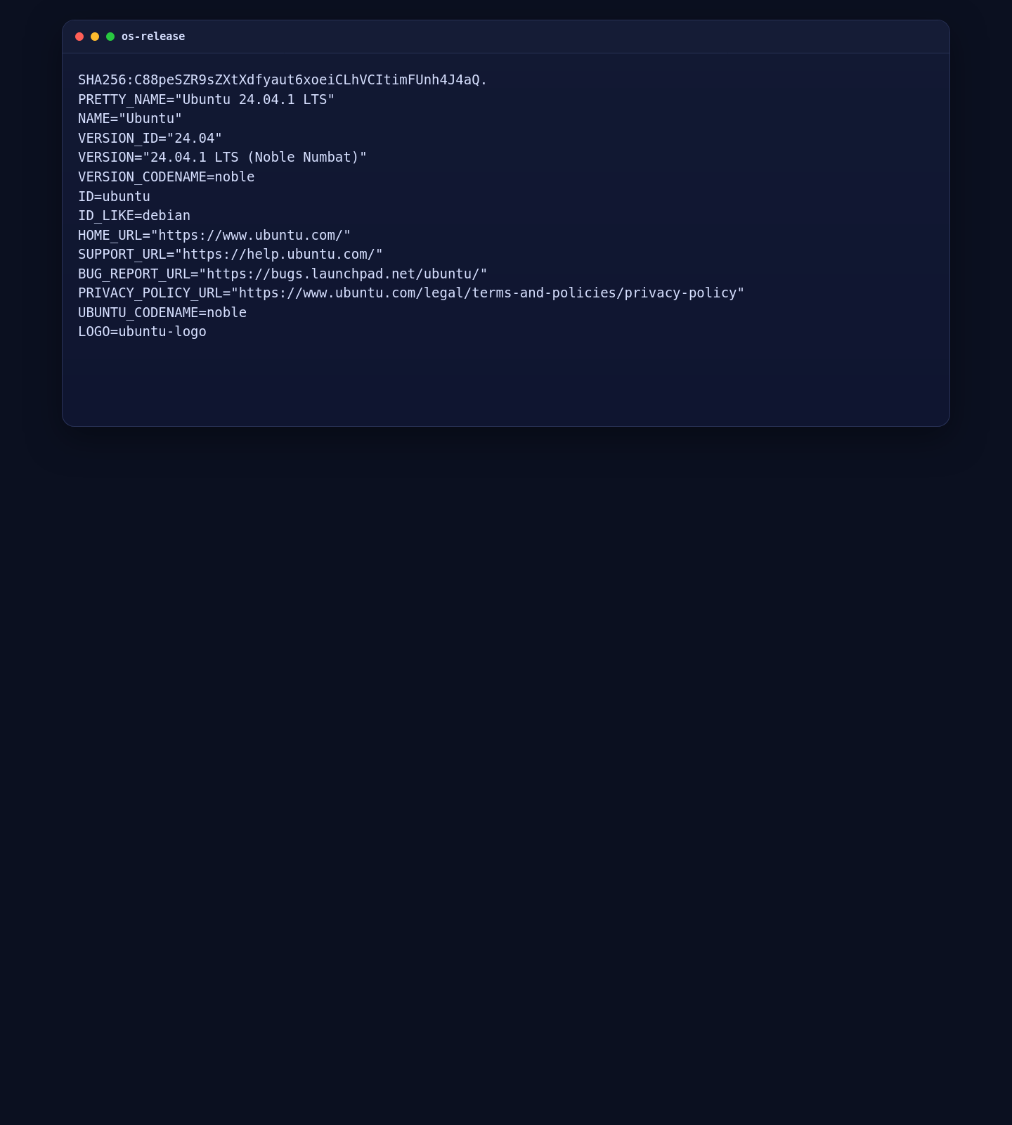 Ubuntu 24.04.1 os-release output on the MinIO tutorial server