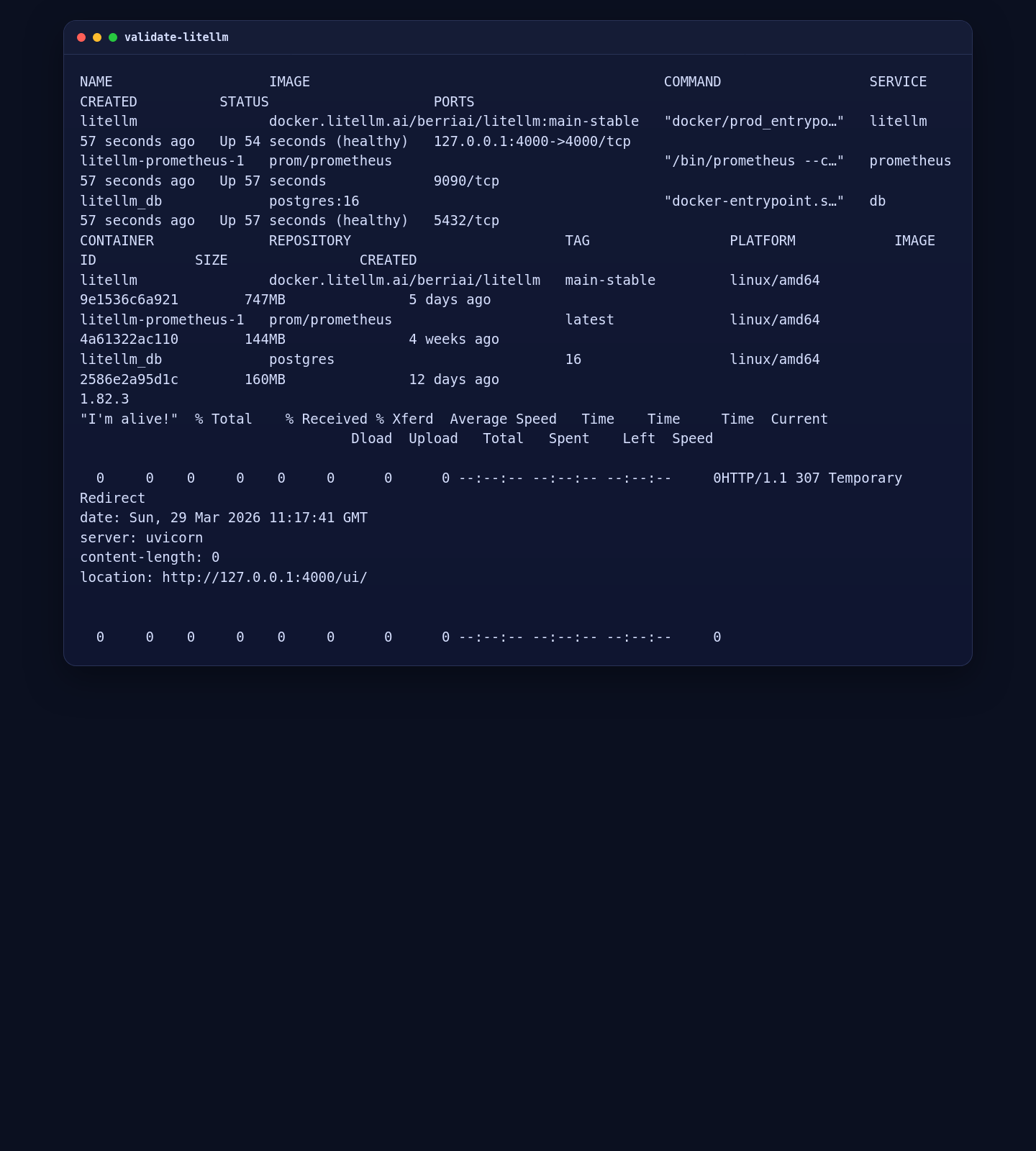 LiteLLM container status, version check, and local UI validation on AlmaLinux 10