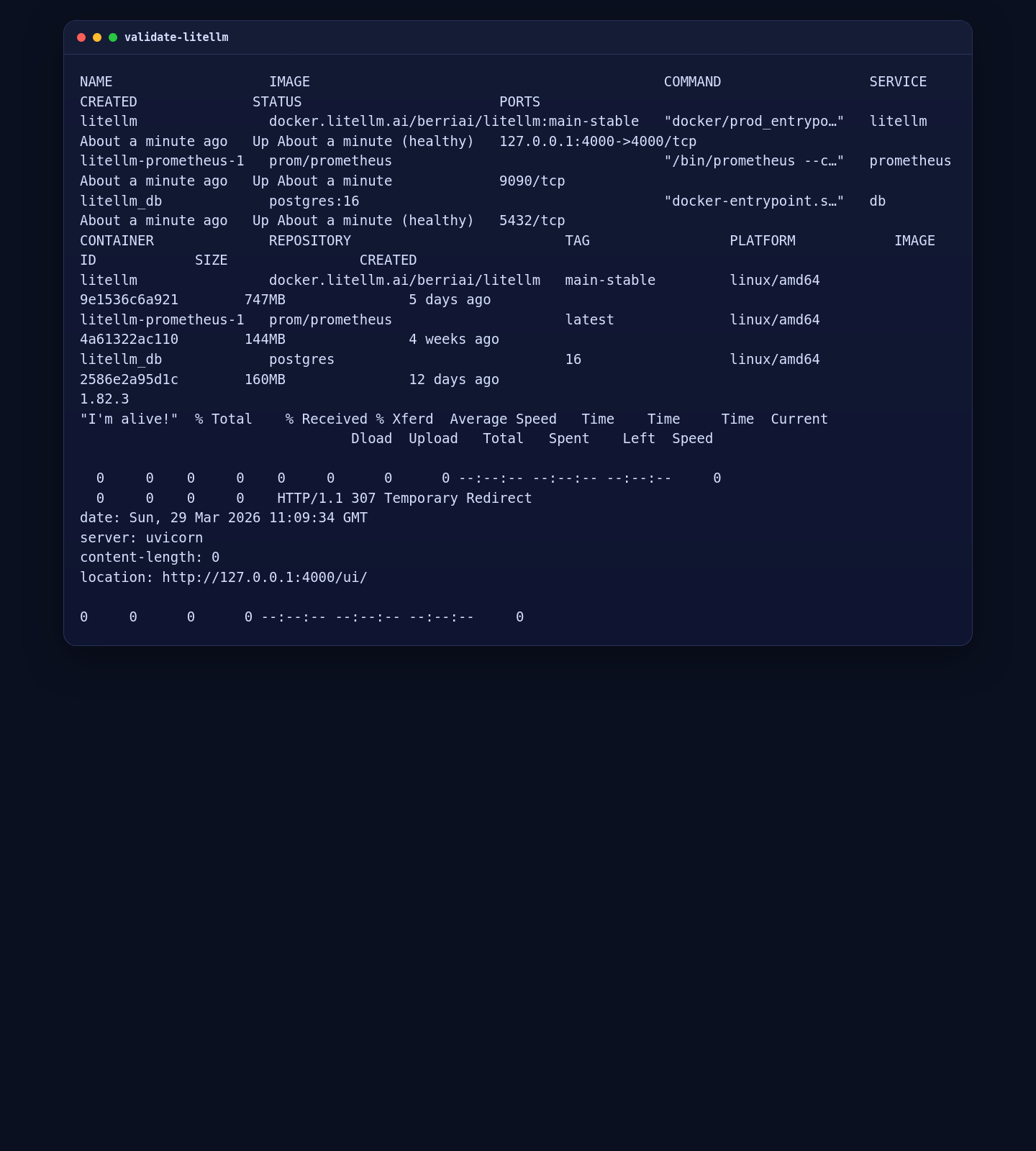 LiteLLM container status, version check, and local UI validation on Ubuntu 24.04